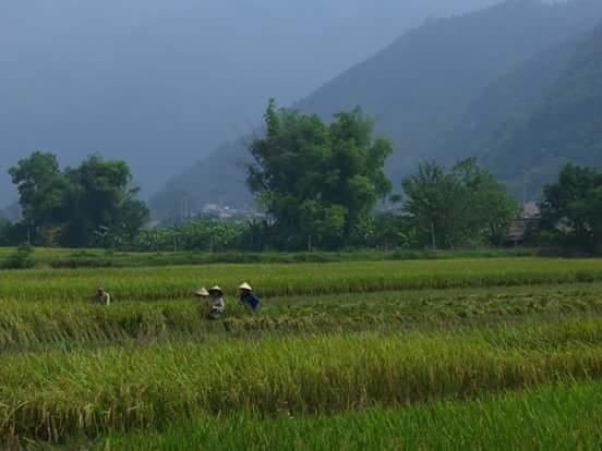 Linh Soi Homestay ไหมโจ๋ว ภายนอก รูปภาพ